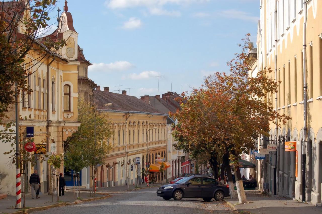 Butterfly Apartment-Hidden Gem In The Heart Of Târgu-Mureş Eksteriør bilde